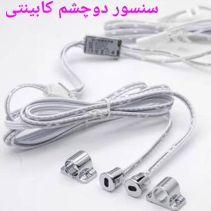سنسور لمسی دوچشم